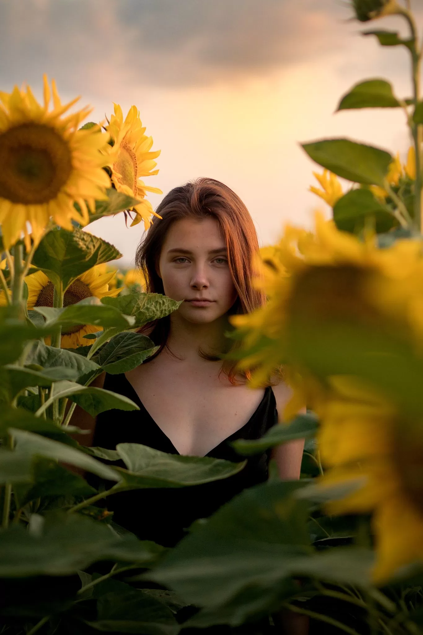 Ukázka tvorby NaRovinu
